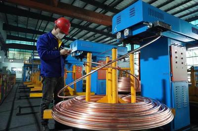 头雁领航，雁阵齐飞 上海金山“光电传输谷”驱动金属制品产业集群提级增效